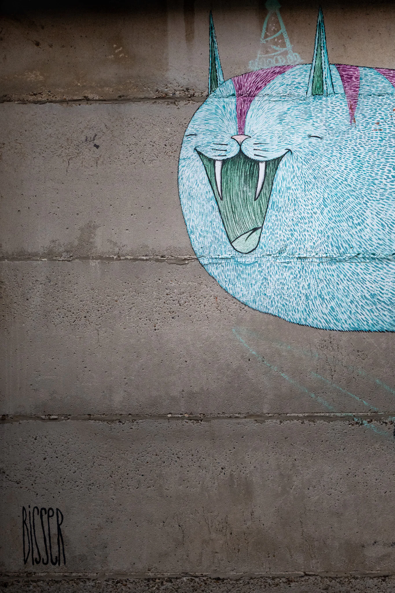 A close view of a turquoise and magenta painted cat laughing across concrete wall panels.