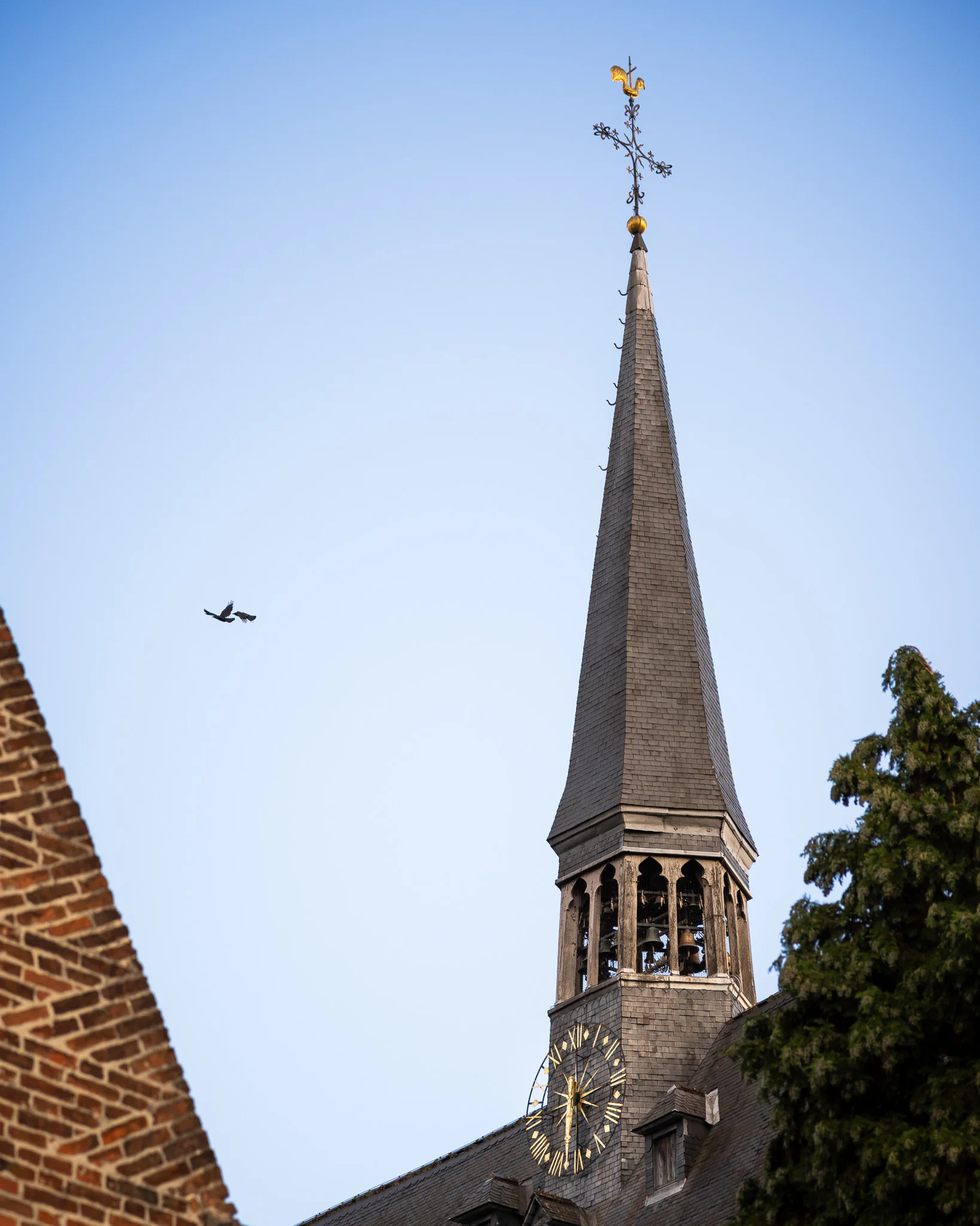 Two pigeons flying beside the slate roof spire and clock of Saint John the Baptist Church in Leuven's Great Beguinage.